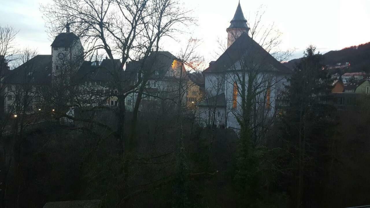 Waldshut Suite In Zentrum Eksteriør billede